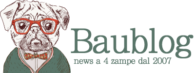 Baublog logo